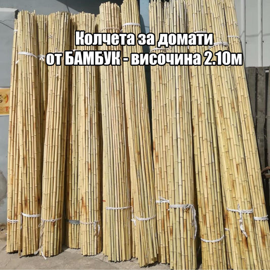 Колчета за домати от БАМБУК - височина 2.10м